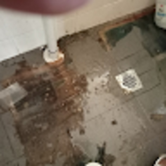 Meet your Posher, Steven - Picture 1 of 1